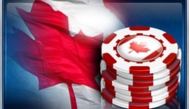 canada flag and chips